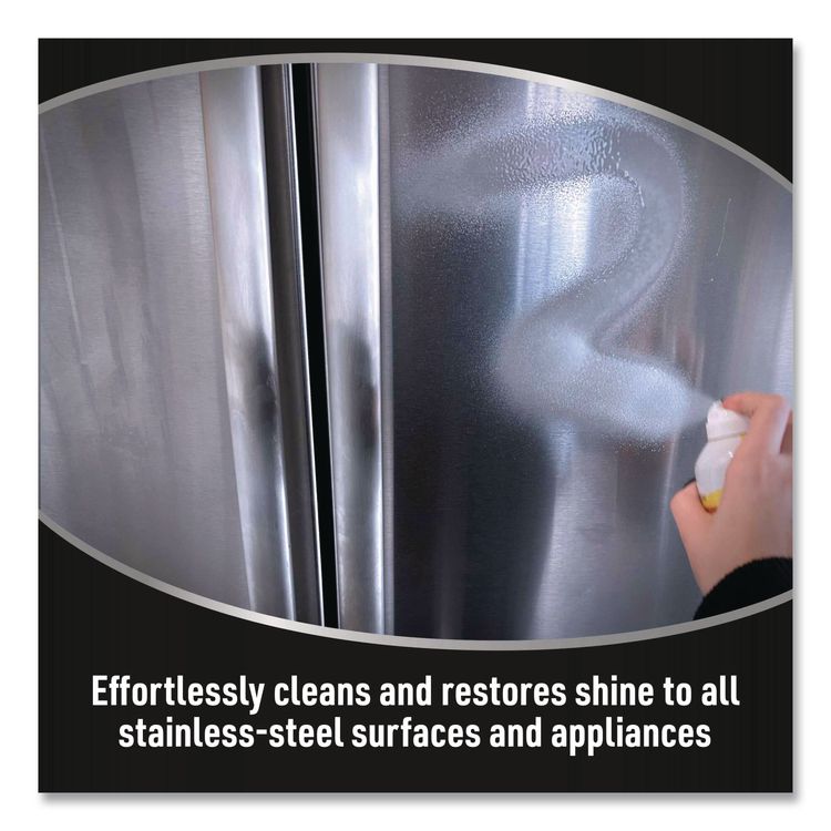Stainless Steel Cleaner, 12 oz Can, 6/Carton