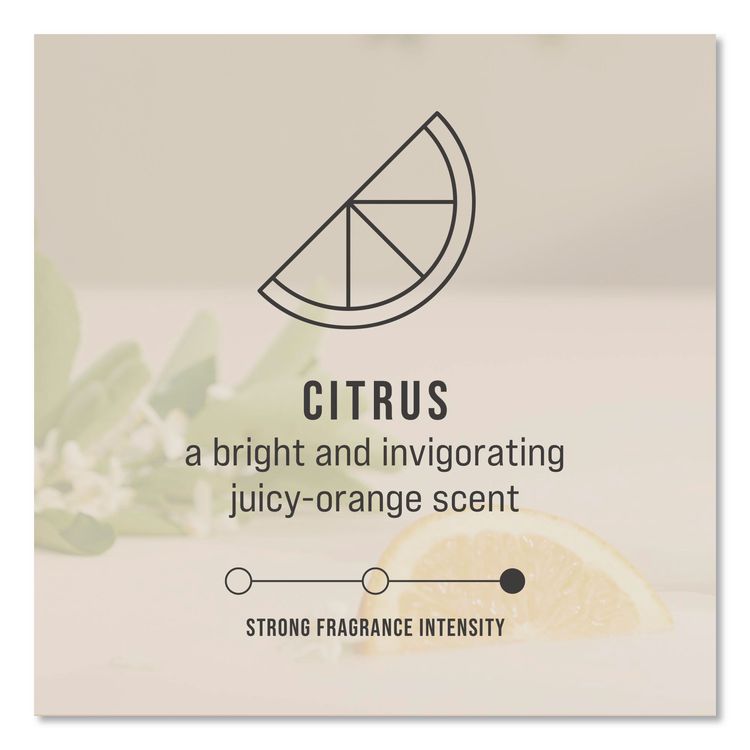 CirculAir 90 Passive Air Care Refill, Citrus, 1.62 oz, 6/Carton
