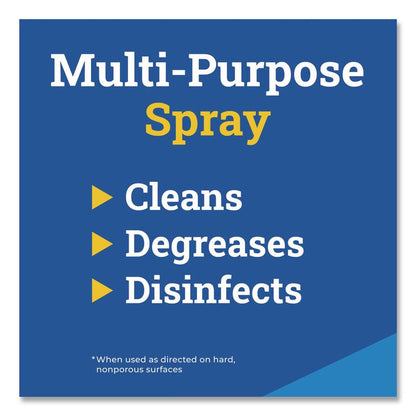 CloroxPro Cleaner Degreaser Disinfectant, 32 oz Smart Tube Spray Bottle