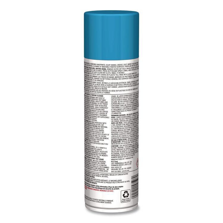 Crazy Clean, Unscented, 19 oz Aerosol Spray, 12/Carton