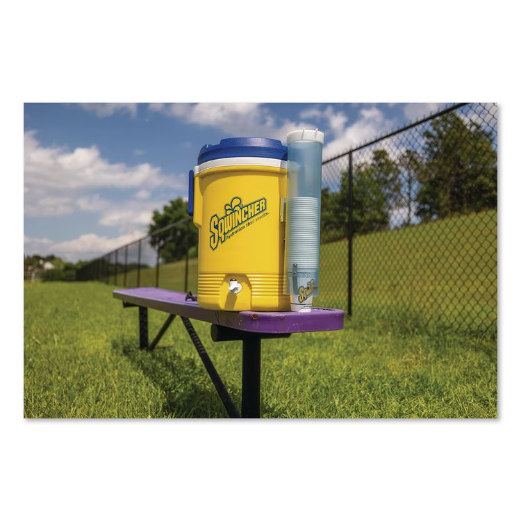 Powder Pack Concentrated Activity Drink, Assorted, 23.83 oz Packet, Yields 2.5 Gallons per Packet, 32/Carton