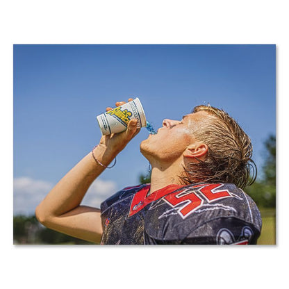 Powder Pack Concentrated Activity Drink, Assorted, 23.83 oz Packet, Yields 2.5 Gallons per Packet, 32/Carton