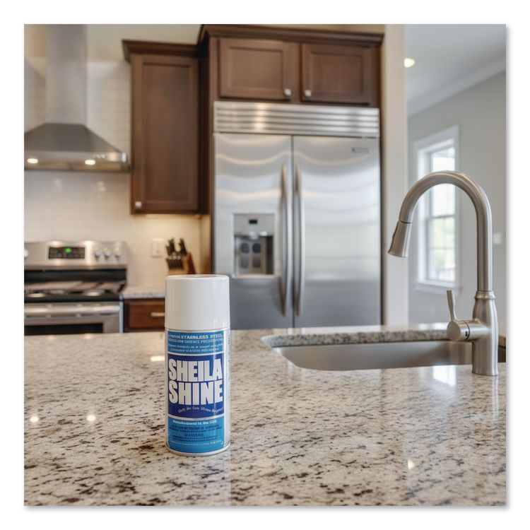 Stainless Steel Cleaner and Polish, 10 oz Aerosol Spray