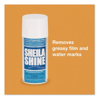 Stainless Steel Cleaner and Polish, 10 oz Aerosol Spray