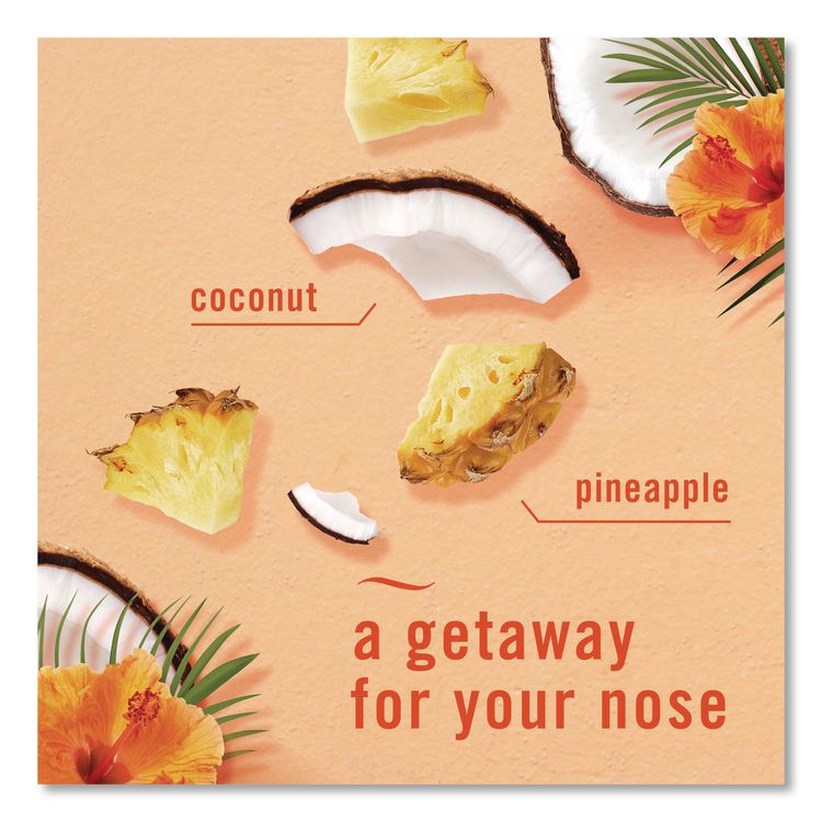 AIR, Hawaiian Aloha, 8.1 oz Aerosol Spray, 2/Pack, 3 Packs/Carton