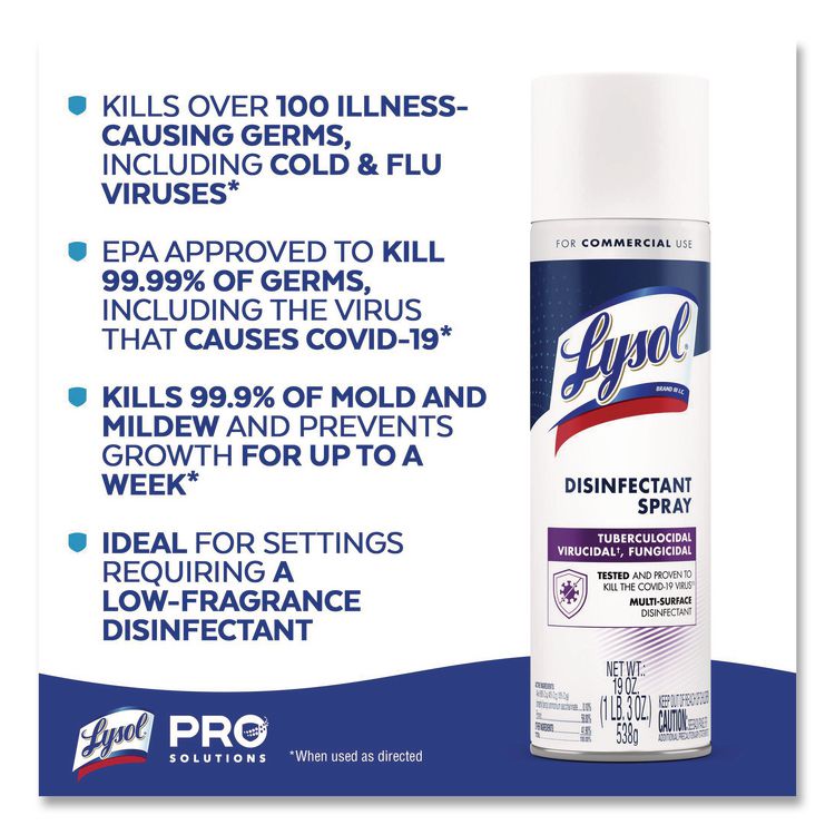Disinfectant Spray, Original Scent, 19 oz Aerosol Spray