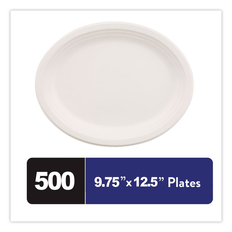 Classic Paper Dinnerware, Platter, 9.75 x 12.5, White, 500/Carton