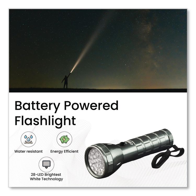 28 LED Professional Flashlight, 3 AAA Batteries (Included), Black/Silver