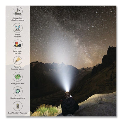 28 LED Professional Flashlight, 3 AAA Batteries (Included), Black/Silver
