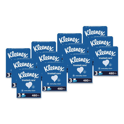 Trusted Care Facial Tissue, 2-Ply, White, 160 Sheets/Box, 3 Boxes/Pack, 12 Packs/Carton