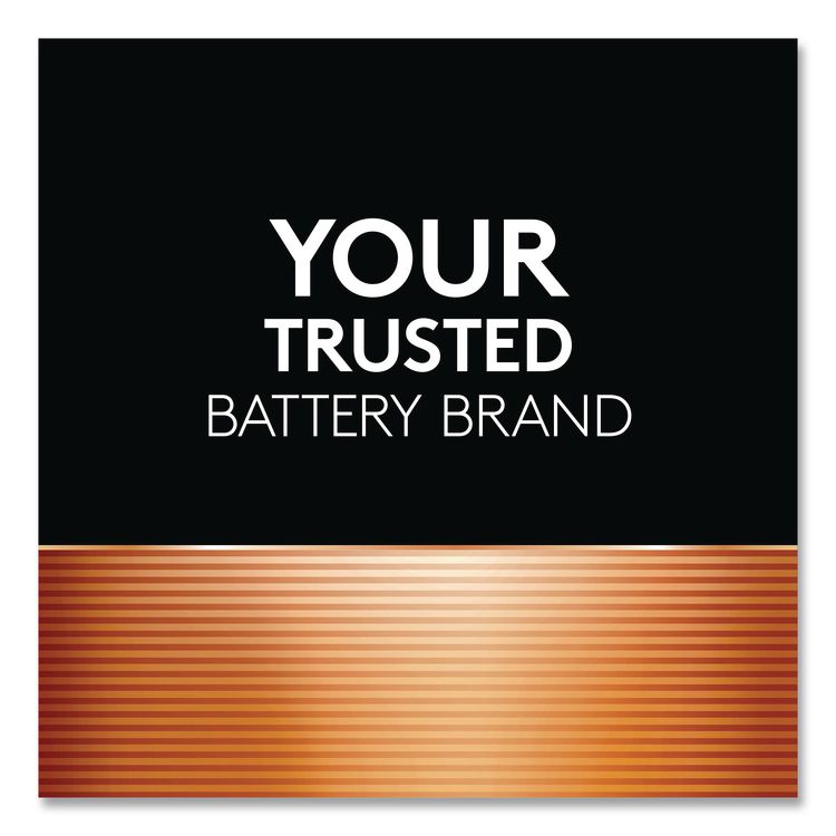 Hearing Aid Battery, #13, 8/Pack