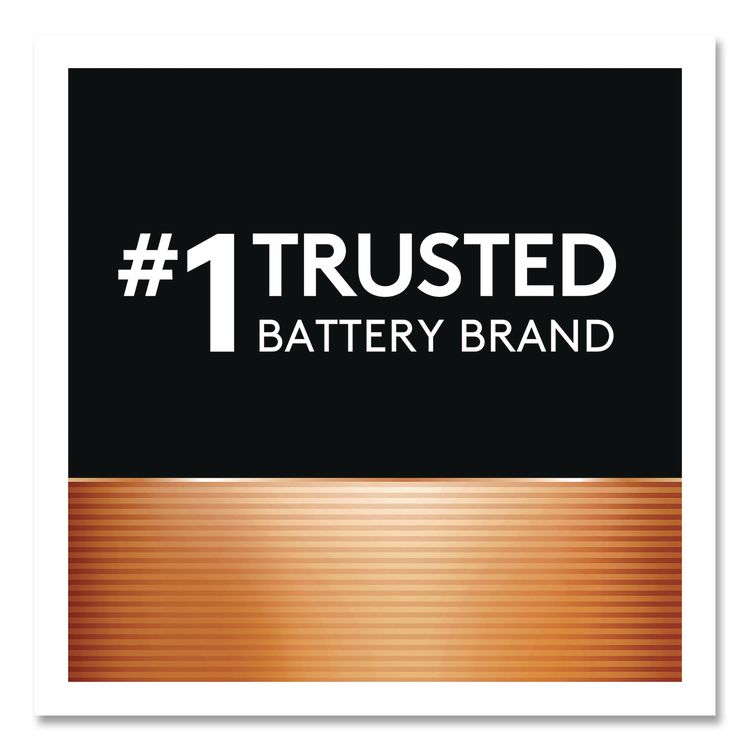 POWER BOOST Coppertop Alkaline AAA Batteries, 16/Pack