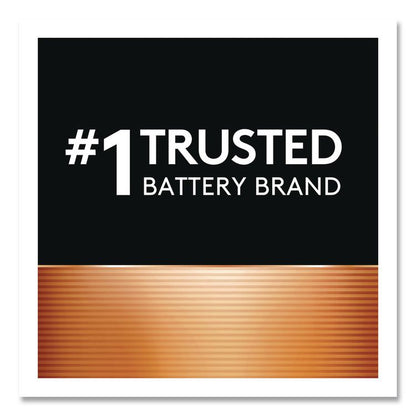 POWER BOOST Coppertop Alkaline AAA Batteries, 16/Pack