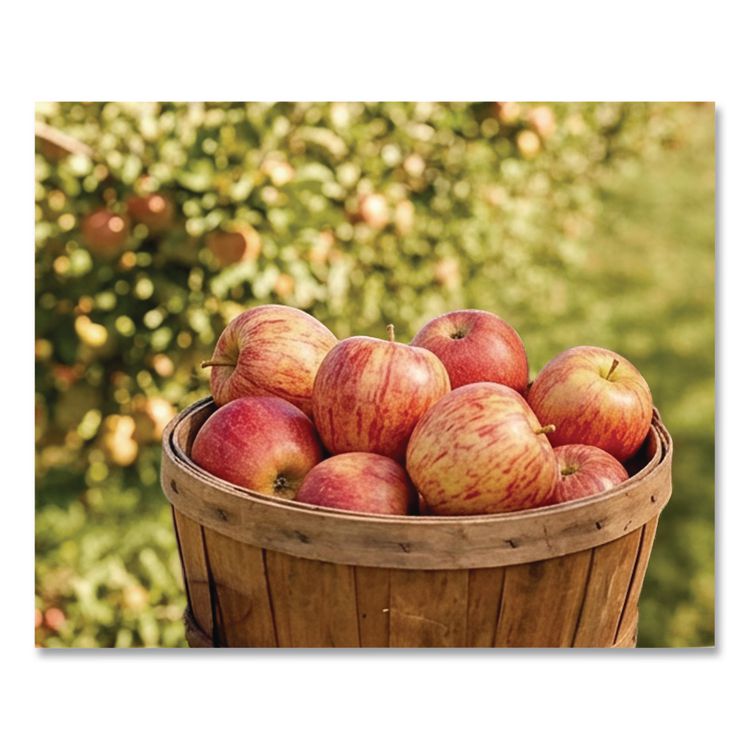 Fresh Gala Apples, 8/Carton
