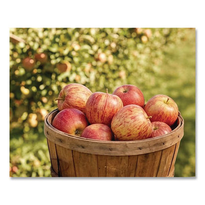 Fresh Gala Apples, 8/Carton