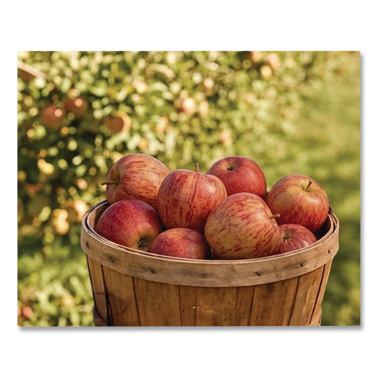 Fresh Fuji Apples, 8/Carton