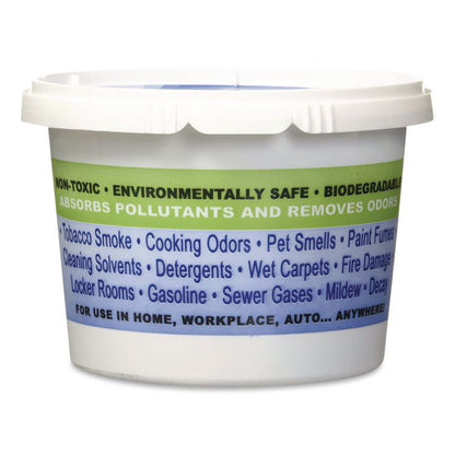 Sponge Odor Absorber, 16 oz Cup