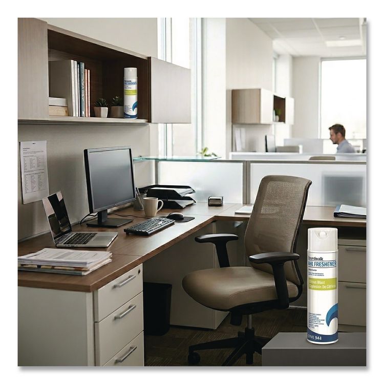 Aerosol Air Freshener, Citrus, 10 oz Aerosol Spray, 6/Carton