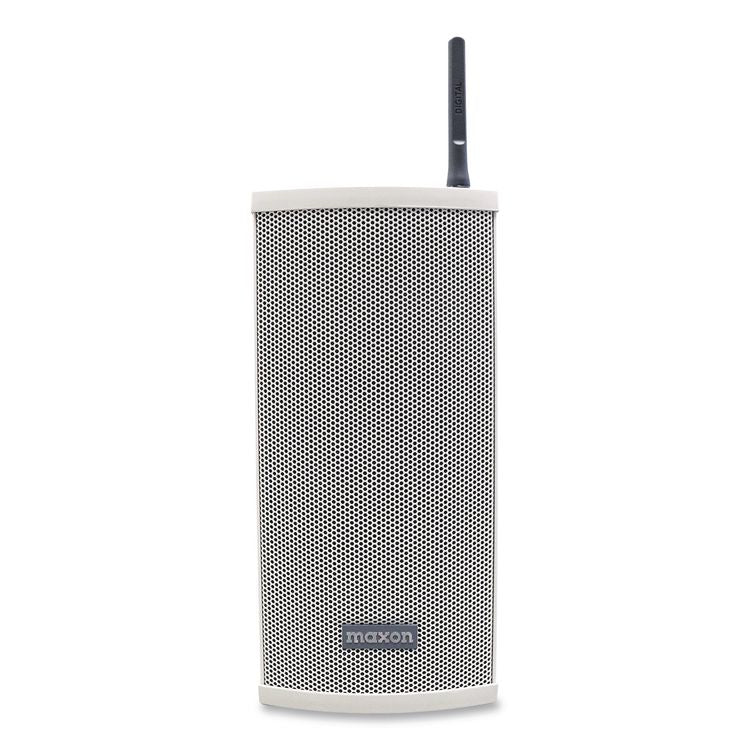 Wireless Loud Speaker, 10 W, Gray