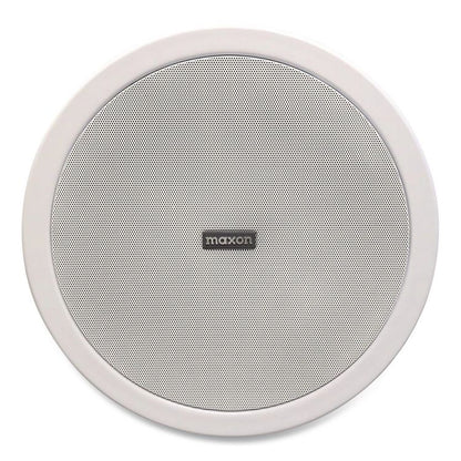 Ceiling Mount Wireless Loud Speaker, Gray