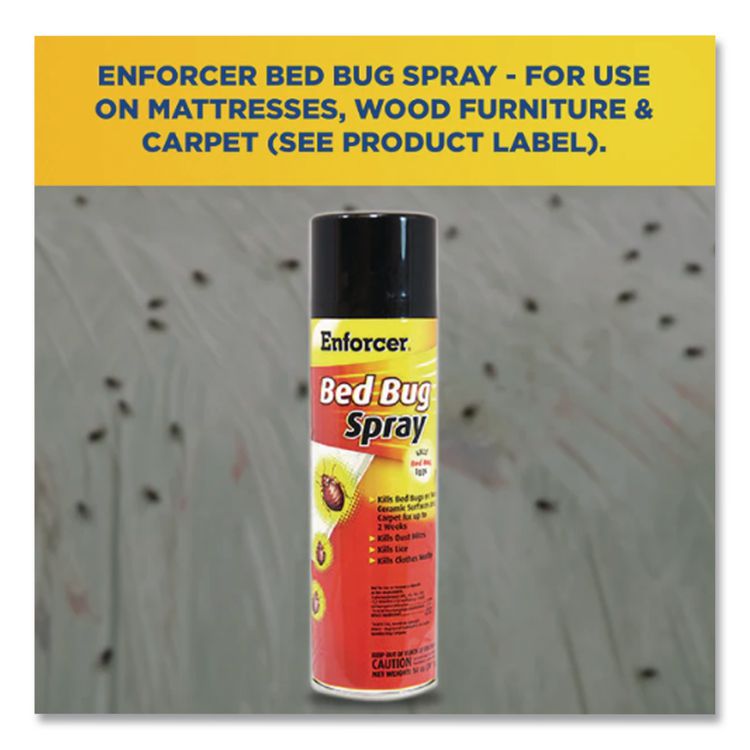 Bed Bug Spray, For Bed Bugs/Dust Mites/Lice/Moths, 14 oz Aerosol Spray, 12/Carton