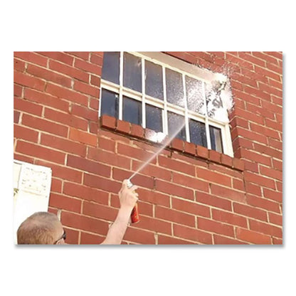 Wasp and Hornet Spray, 16 oz Aerosol Spray, 12/Carton