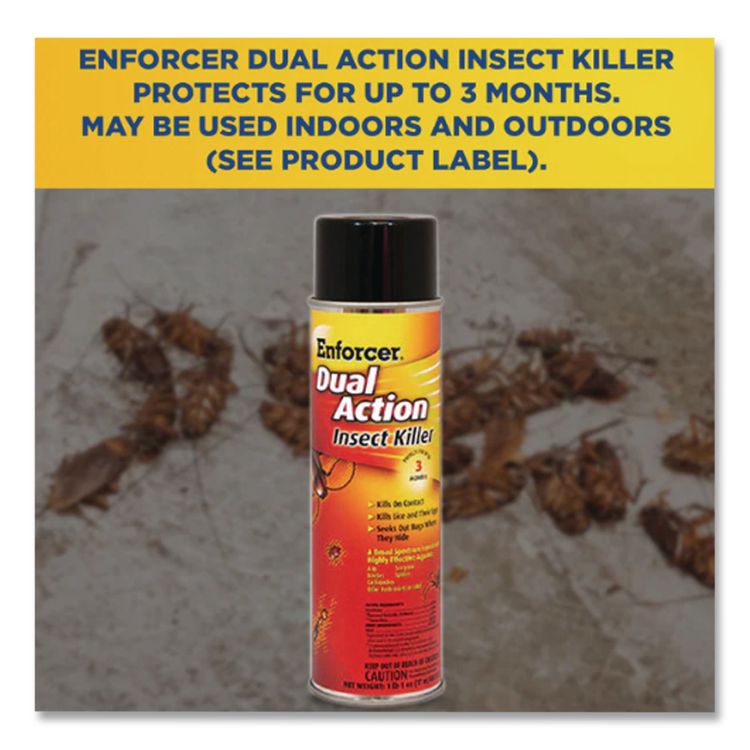 Dual Action Insect Killer, For Flying/Crawling Insects, 17 oz Aerosol Spray, 12/Carton