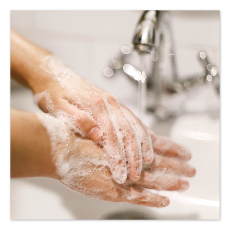 Antibacterial and Sensitive Liquid Hand Soap, Fragrance Free, 1 gal, 4/Carton