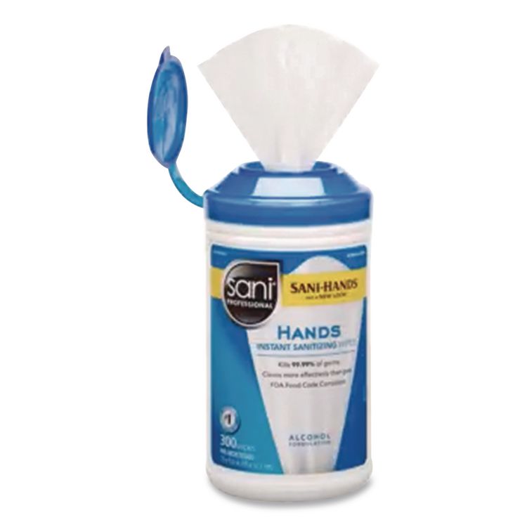 Hands Instant Sanitizing Wipes, 5 x 6, Unscented, White, 150/Canister