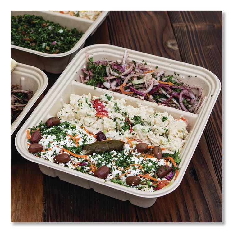 Fiber Catering Pans, 3 Compartments, 10.3 x 2.8 x 12.8, Paper, Natural, 200/Carton
