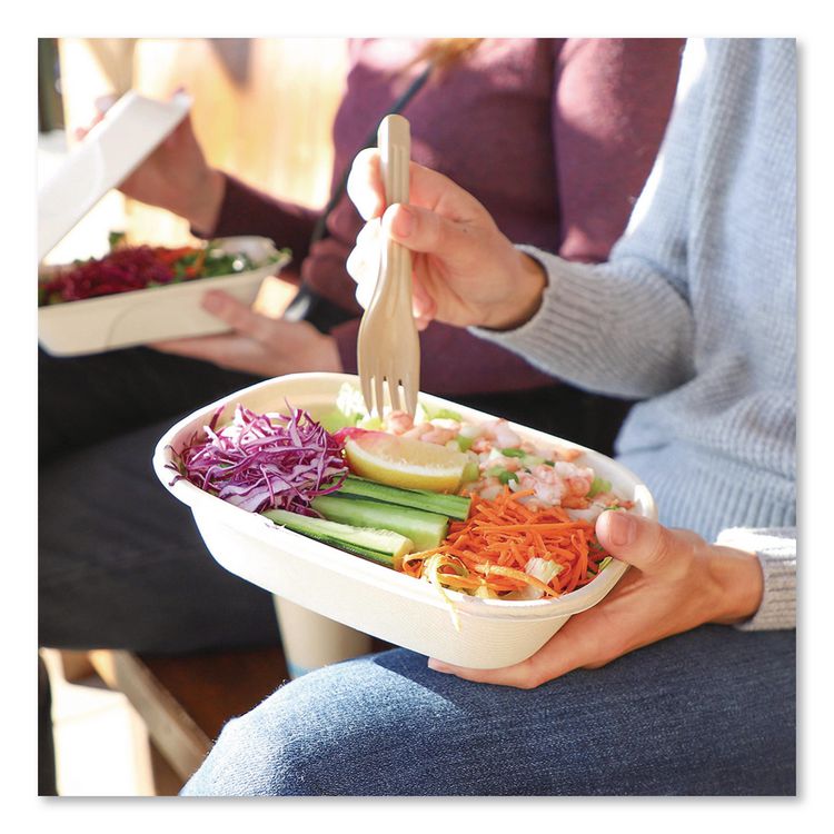 NoTree Cutlery, Light Mediumweight, Fork, Paper, Natural, 1,000/Carton