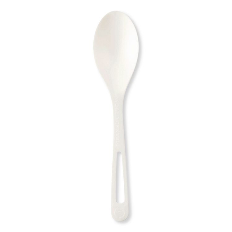 TPLA Cutlery, Medium Heavyweight, Spoon, Plastic, Light Beige, 24/Pack