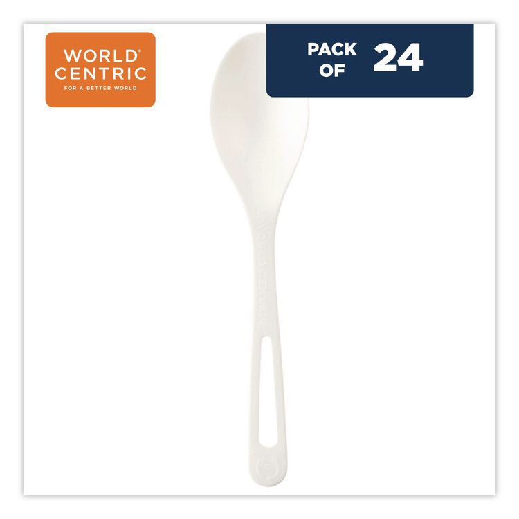 TPLA Cutlery, Medium Heavyweight, Spoon, Plastic, Light Beige, 24/Pack