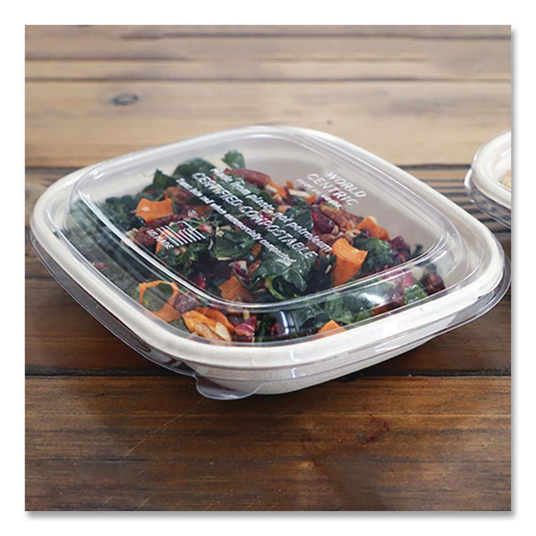 PLA Lids for Fiber Containers, 8.8 x 6.9 x 0.8, Clear, Plastic, 400/Carton