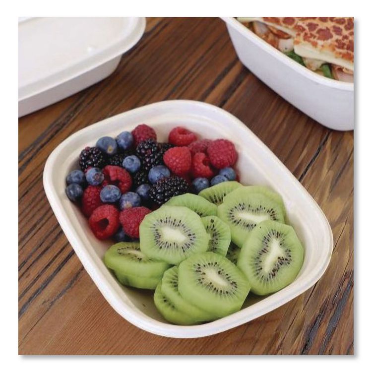 Laminated Fiber Containers, 20 oz, 6.7 x 8.7 x 1.7, Natural, Sugarcane Fiber, 400/Carton