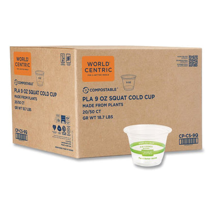 PLA Clear Cold Cups, 9 oz, Plastic, Clear, 1,000/Carton