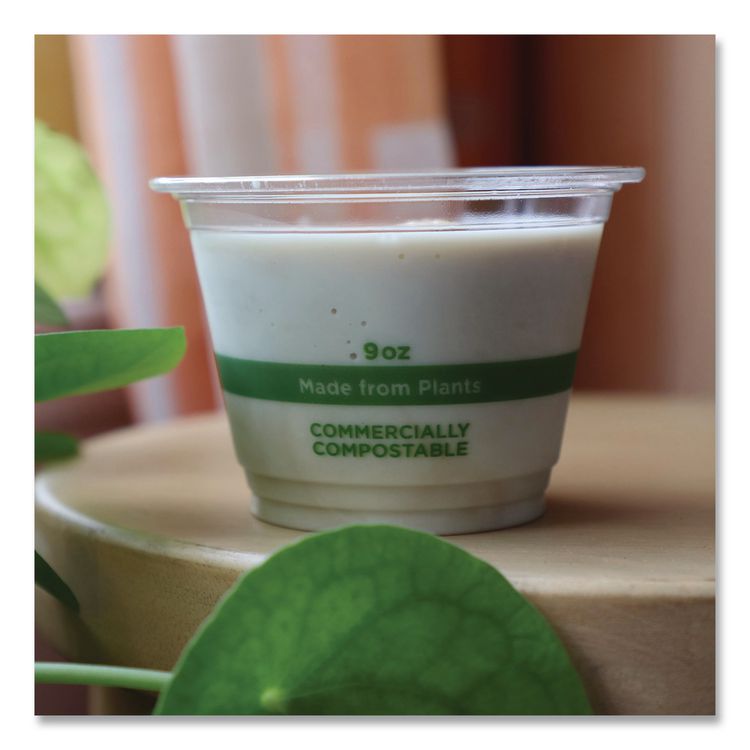 PLA Clear Cold Cups, 9 oz, Plastic, Clear, 1,000/Carton