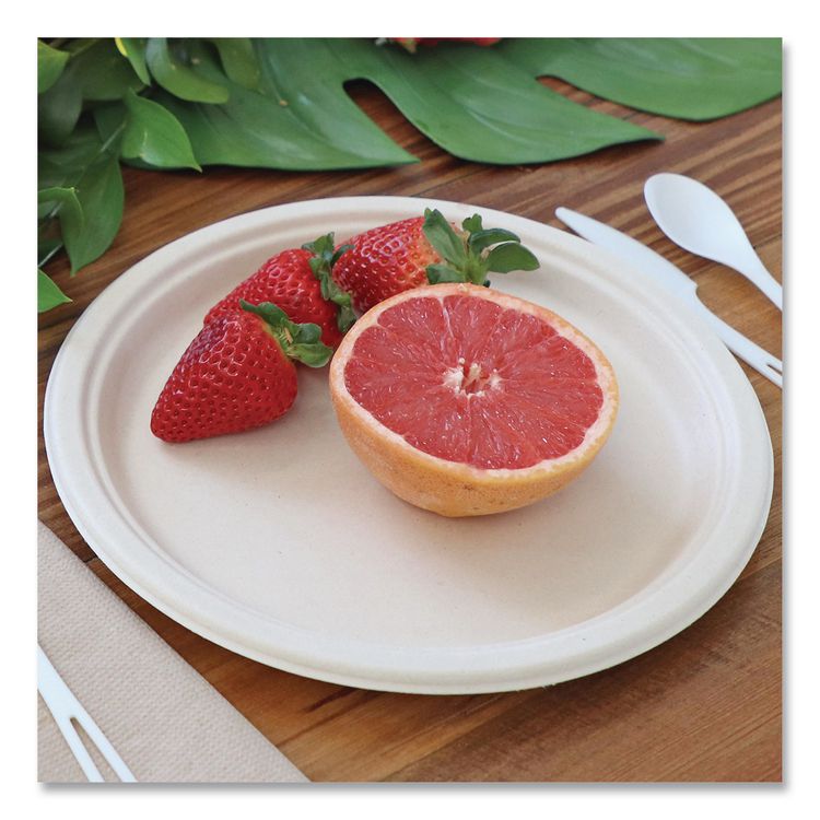 Fiber Plates, 10" dia, Natural, 20/Pack