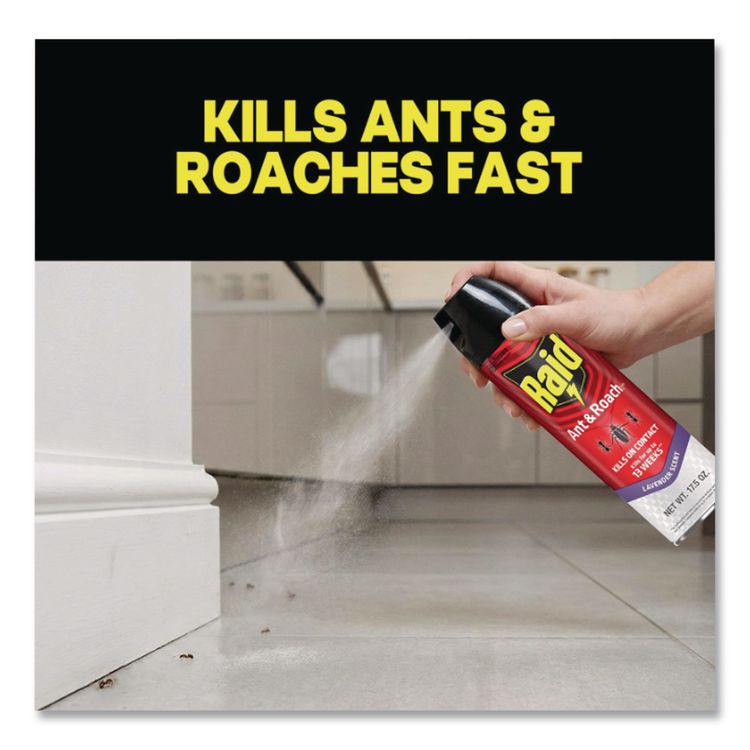 Ant and Roach Killer, 17.5 oz Aerosol Spray, Lavender, 12/Carton