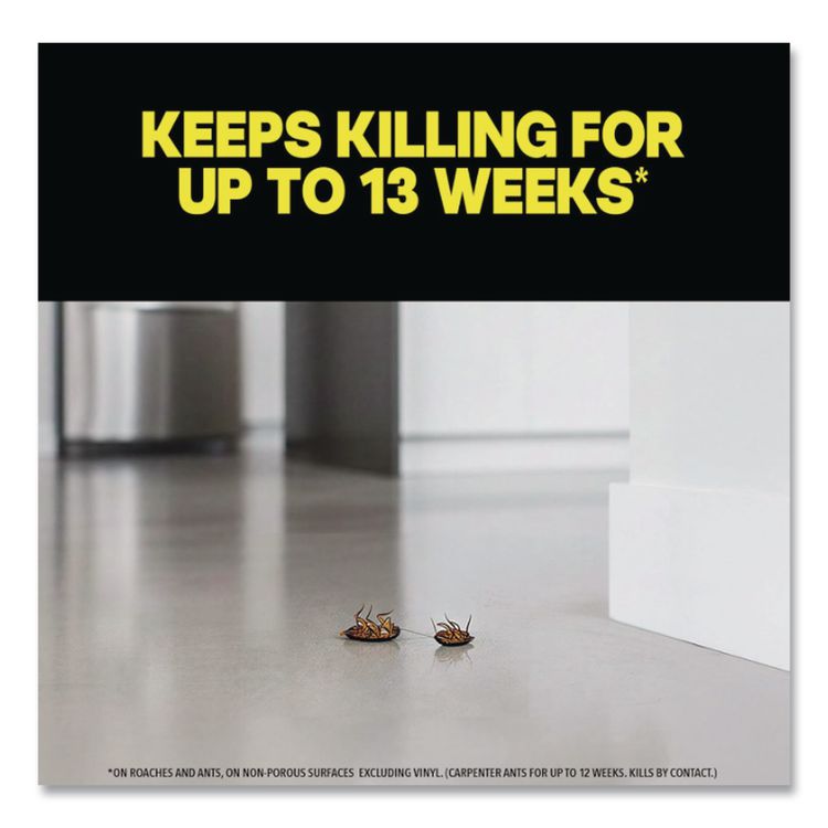 Ant and Roach Killer, 17.5 oz Aerosol Spray, Lavender, 12/Carton