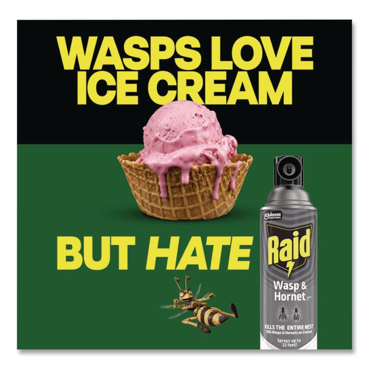 Wasp and Hornet Killer, 14 oz Aerosol Spray, 12/Carton