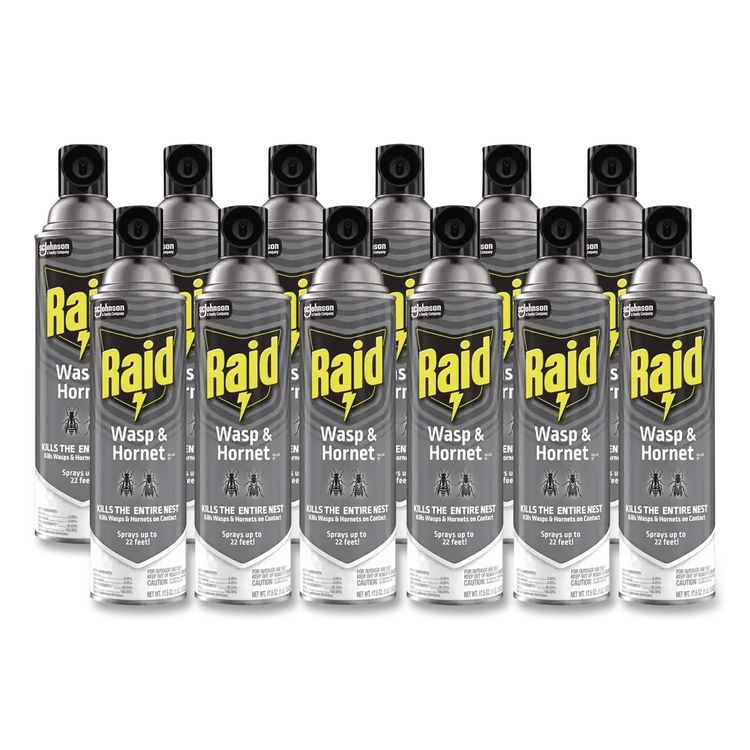 Wasp and Hornet Killer, 14 oz Aerosol Spray, 12/Carton