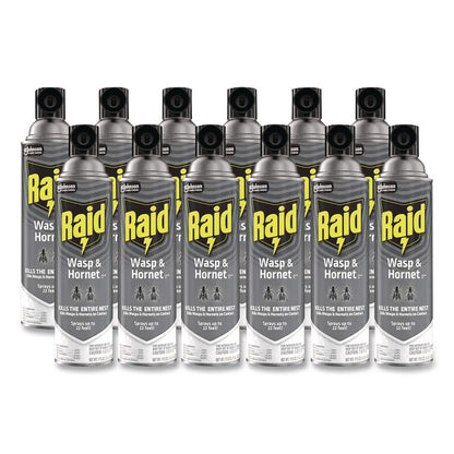 Wasp and Hornet Killer, 14 oz Aerosol Spray, 12/Carton