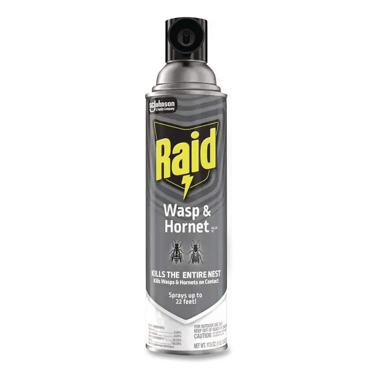 Wasp and Hornet Killer, 14 oz Aerosol Spray, 12/Carton