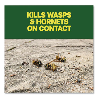 Wasp and Hornet Killer, 14 oz Aerosol Spray, 12/Carton