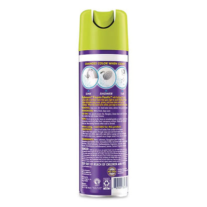 Foamtastic Bathroom Cleaner, Fresh Scent, 19 oz Aerosol Spray