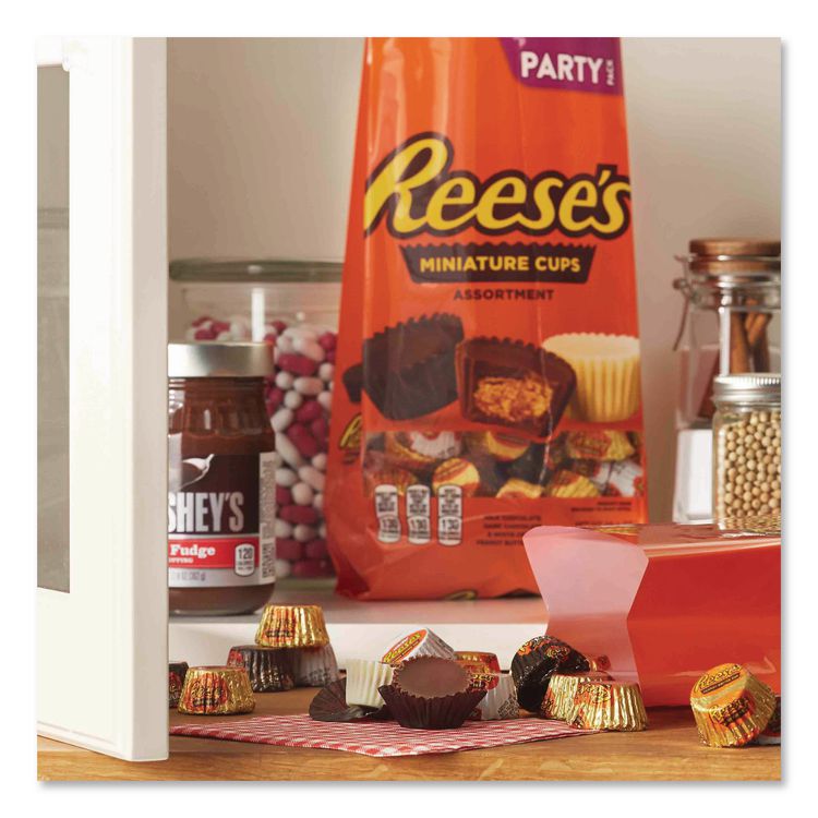 Party Pack Miniatures Assortment, 26.6 oz Bag