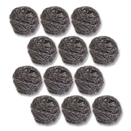Stainless Steel Scrubber, Large Size, 2.5 x 2.75, Steel Gray, 12/Carton