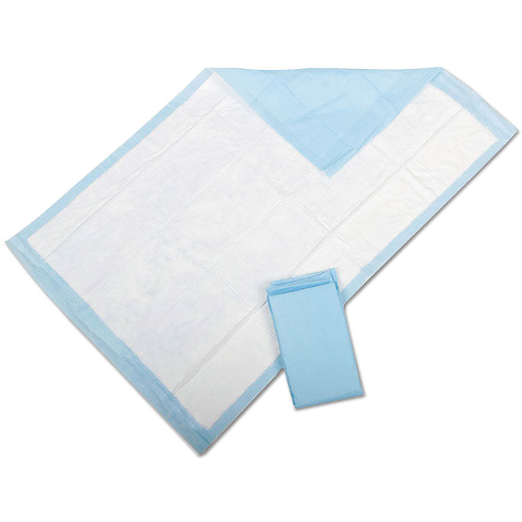 Protection Plus Disposable Underpads, 23 x 36, Blue, 25/Bag