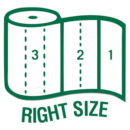 100% Recycled Paper Kitchen Towel Rolls, 2-Ply, 11 x 5.4, 156 Sheets/Roll, 24 Rolls/Carton